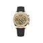 Rolex Golden Eye of Tiger